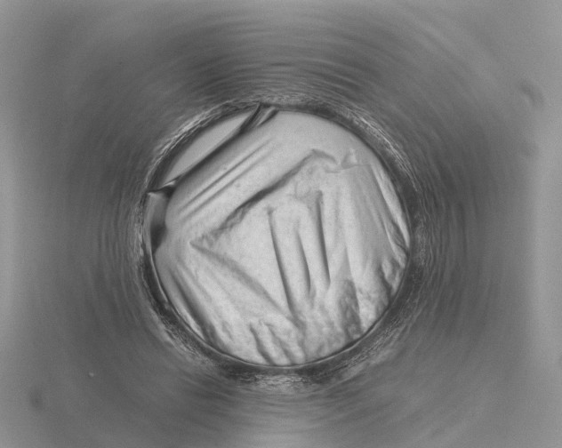 X0000115680446200912101136
