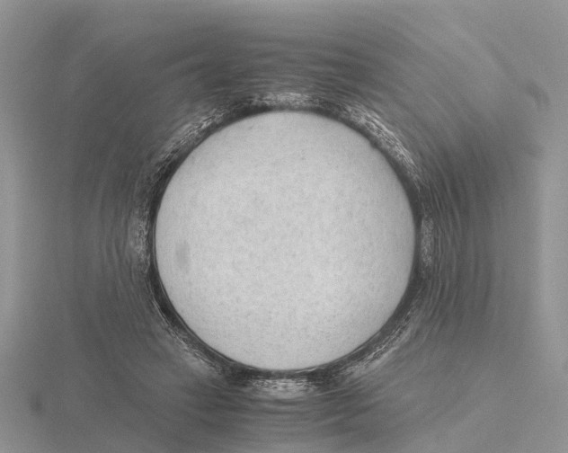 X0000115680449200912101136