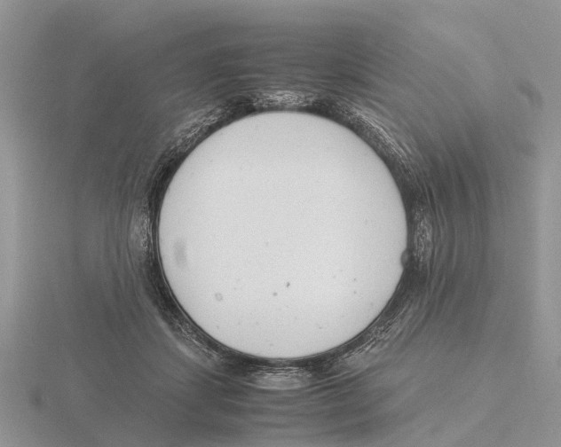 X0000115680459200912101136