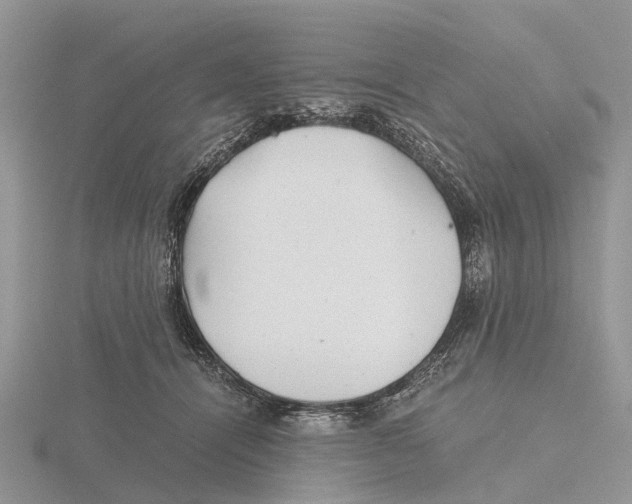 X0000115680464200912101137