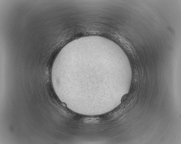 X0000115680465200912101137