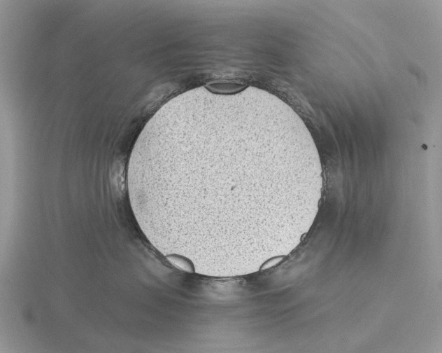 X0000115680479200912101137