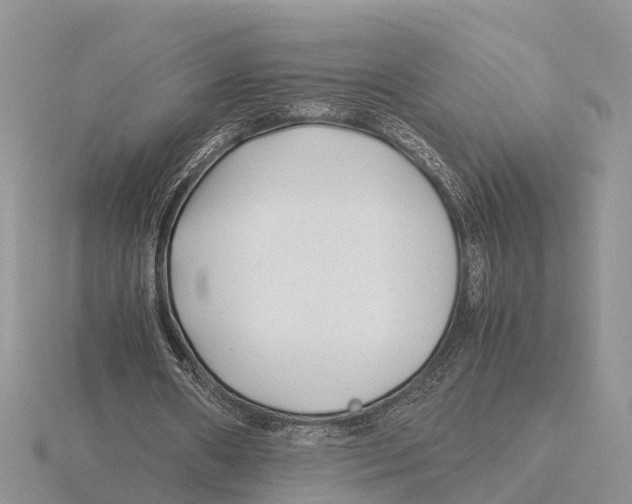 X0000115680482200912101136