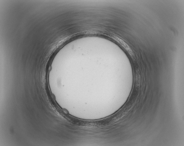 X0000115680485200912101136