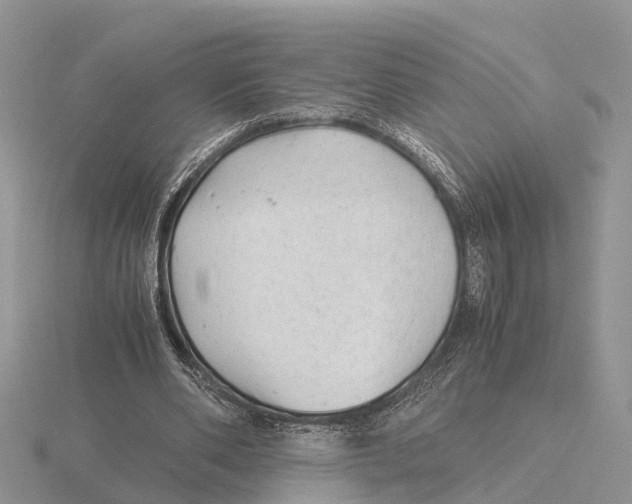 X0000115680486200912101136