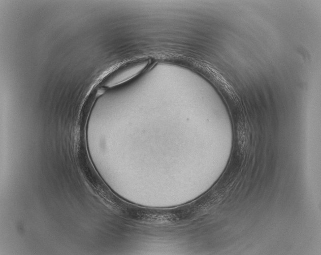 X0000115680488200912101136