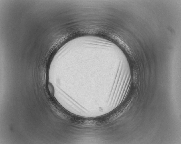 X0000115680493200912101136