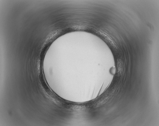 X0000115680494200912101136