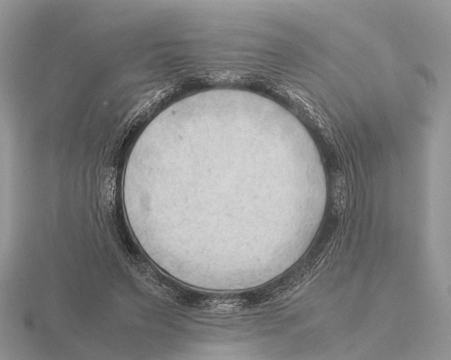 X0000115680495200912101136