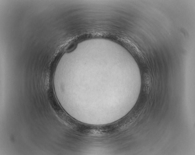 X0000115680496200912101136