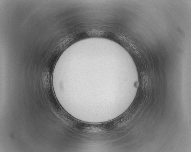 X0000115680498200912101136