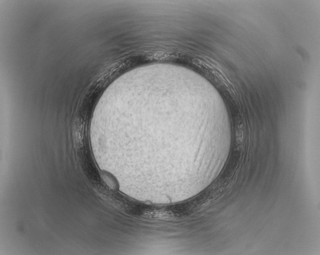 X0000115680503200912101136