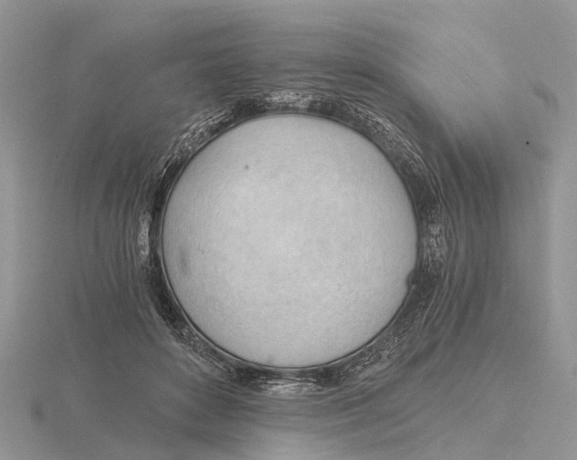 X0000115680504200912101136