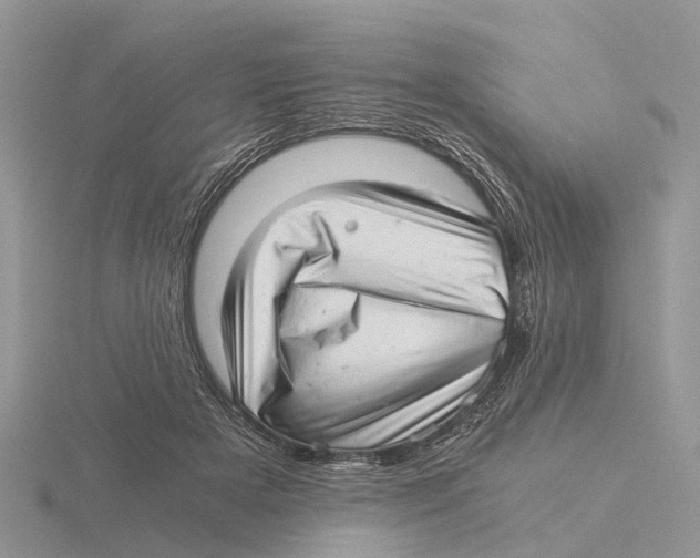 X0000115680505200912101136