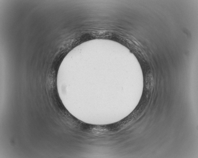 X0000115680515200912101136
