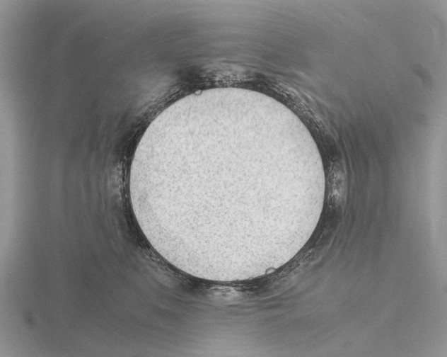 X0000115680519200912101136