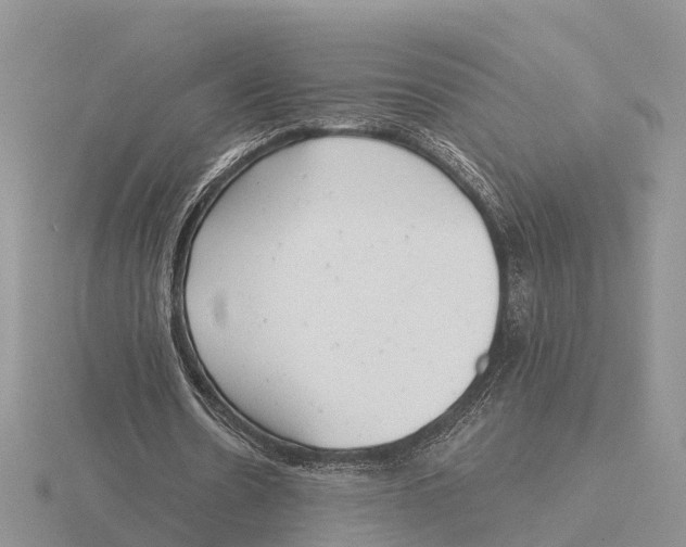 X0000115680530200912101135