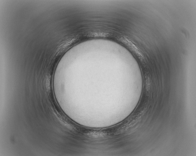 X0000115680537200912101135