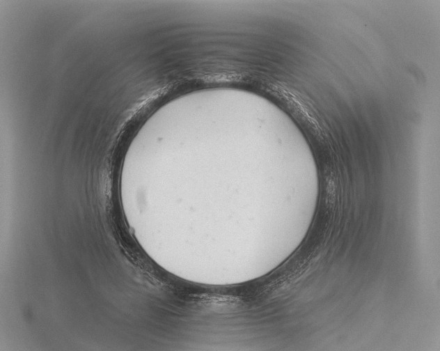 X0000115680539200912101135