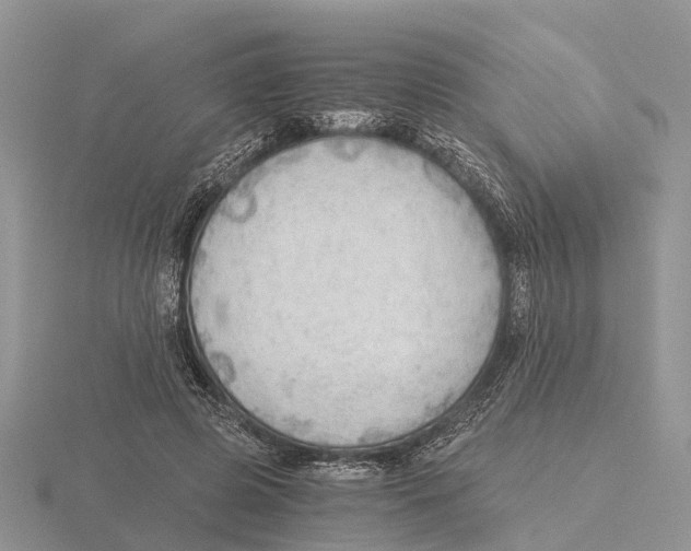 X0000115680545200912101135