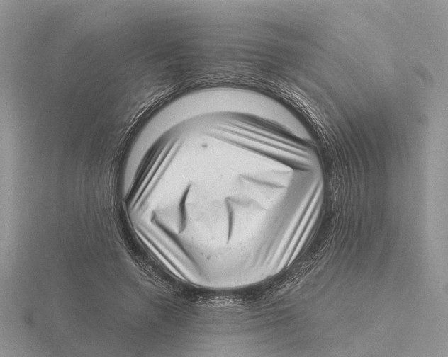 X0000115680546200912101135