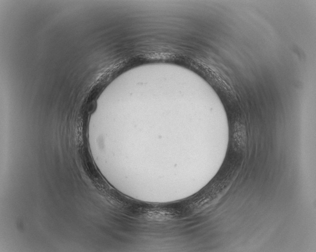 X0000115680547200912101135