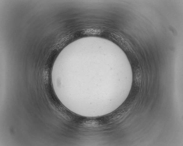 X0000115680551200912101135