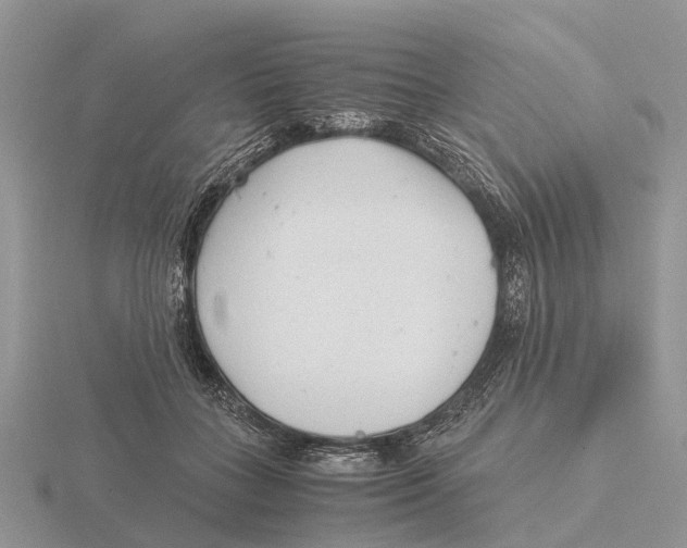 X0000115680555200912101135