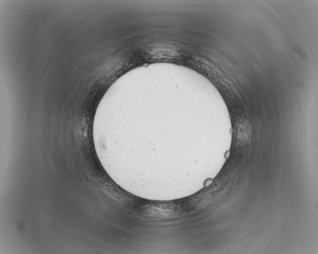 X0000115680567200912101135