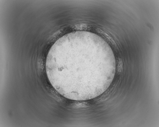 X0000115680569200912101135