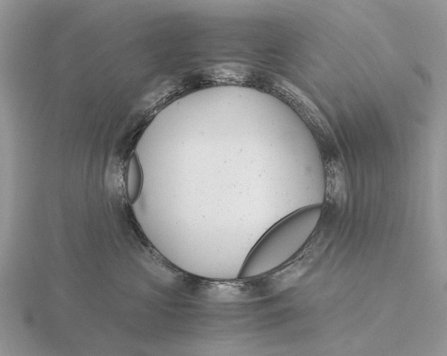 X0000115680573200912101135