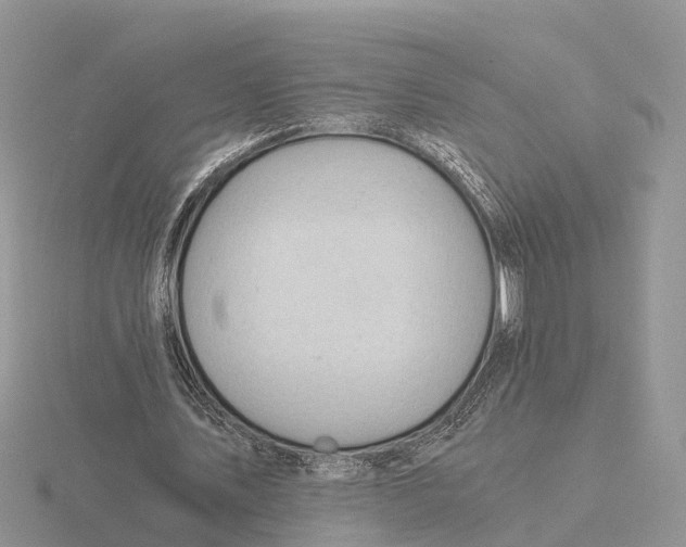 X0000115680579200912101135