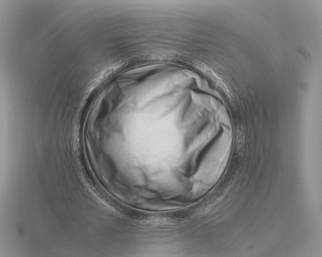 X0000115680581200912101135