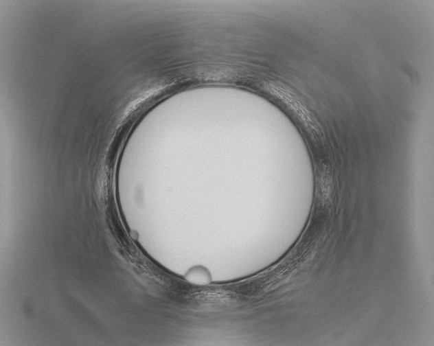 X0000115680583200912101135