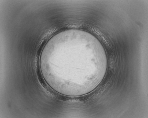 X0000115680586200912101135