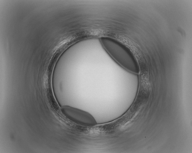 X0000115680587200912101135