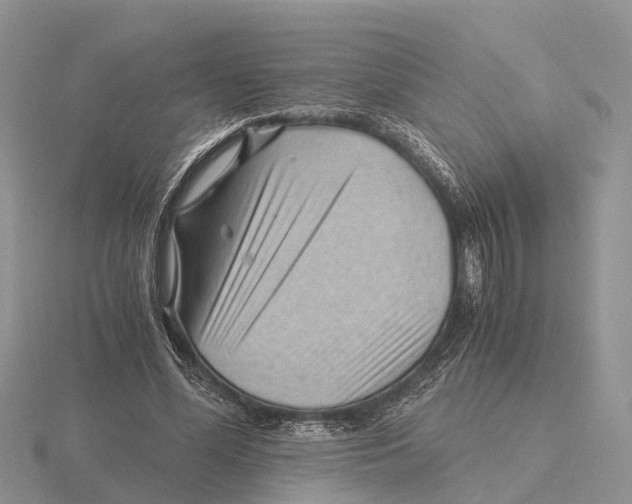 X0000115680588200912101135