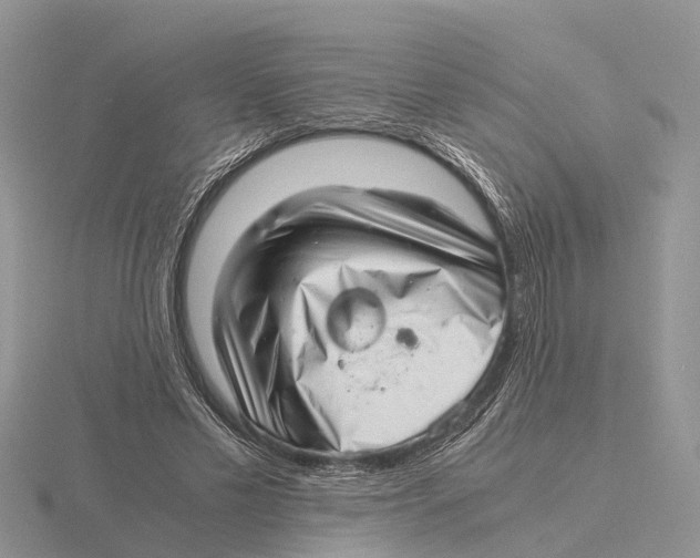 X0000115680589200912101135