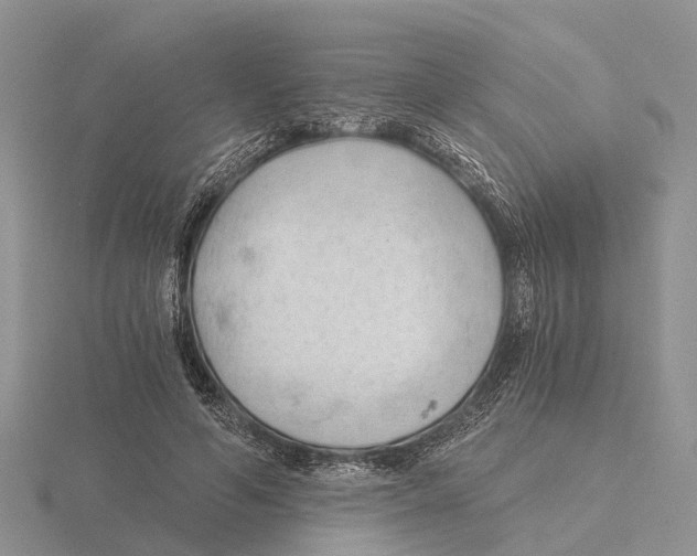 X0000115680594200912101135