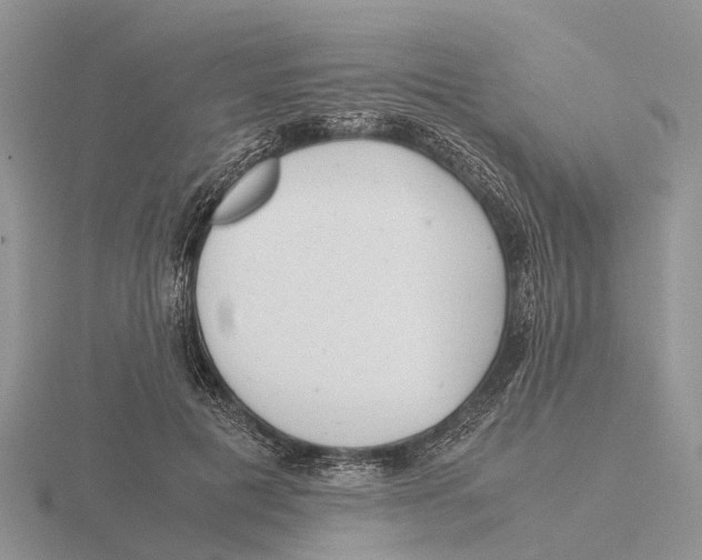 X0000115680601200912101134
