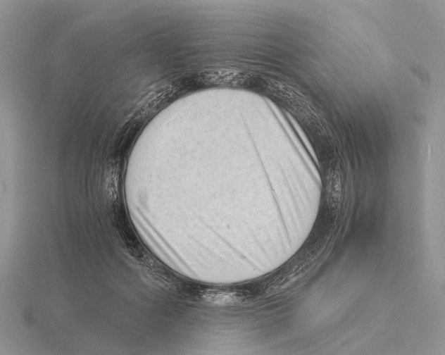 X0000115680602200912101134