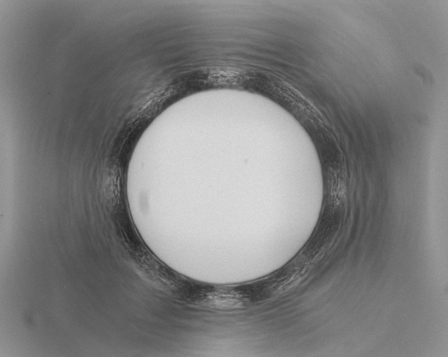 X0000115680603200912101134