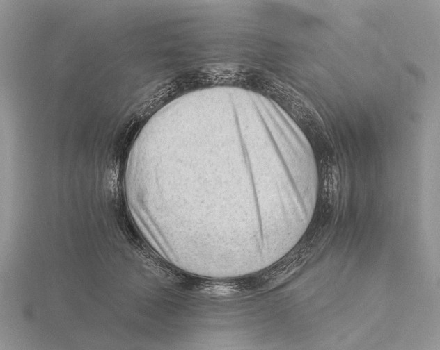 X0000115680610200912101134