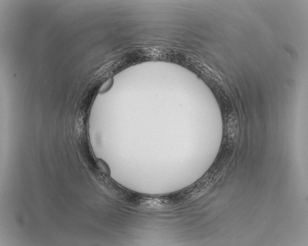 X0000115680611200912101134