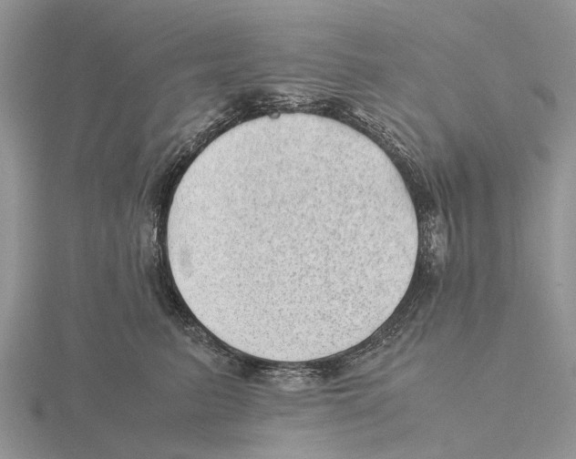 X0000115680615200912101134