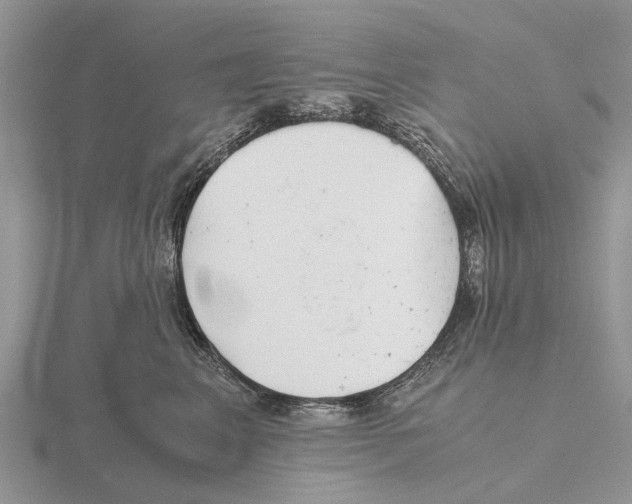 X0000115680617200912101134