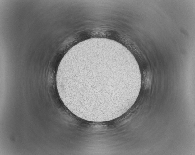 X0000115680619200912101134