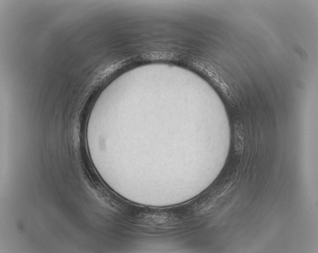 X0000115680631200912101134
