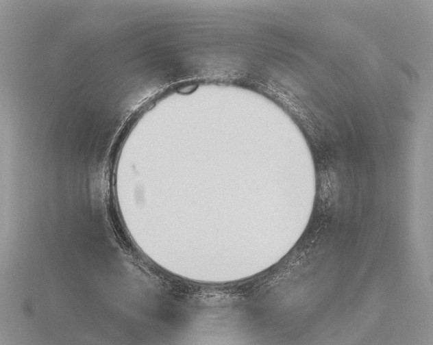 X0000115680632200912101134