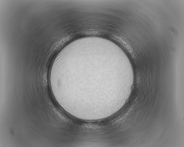 X0000115680633200912101134